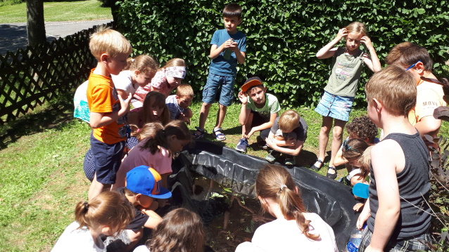 Teich im Schulgarten